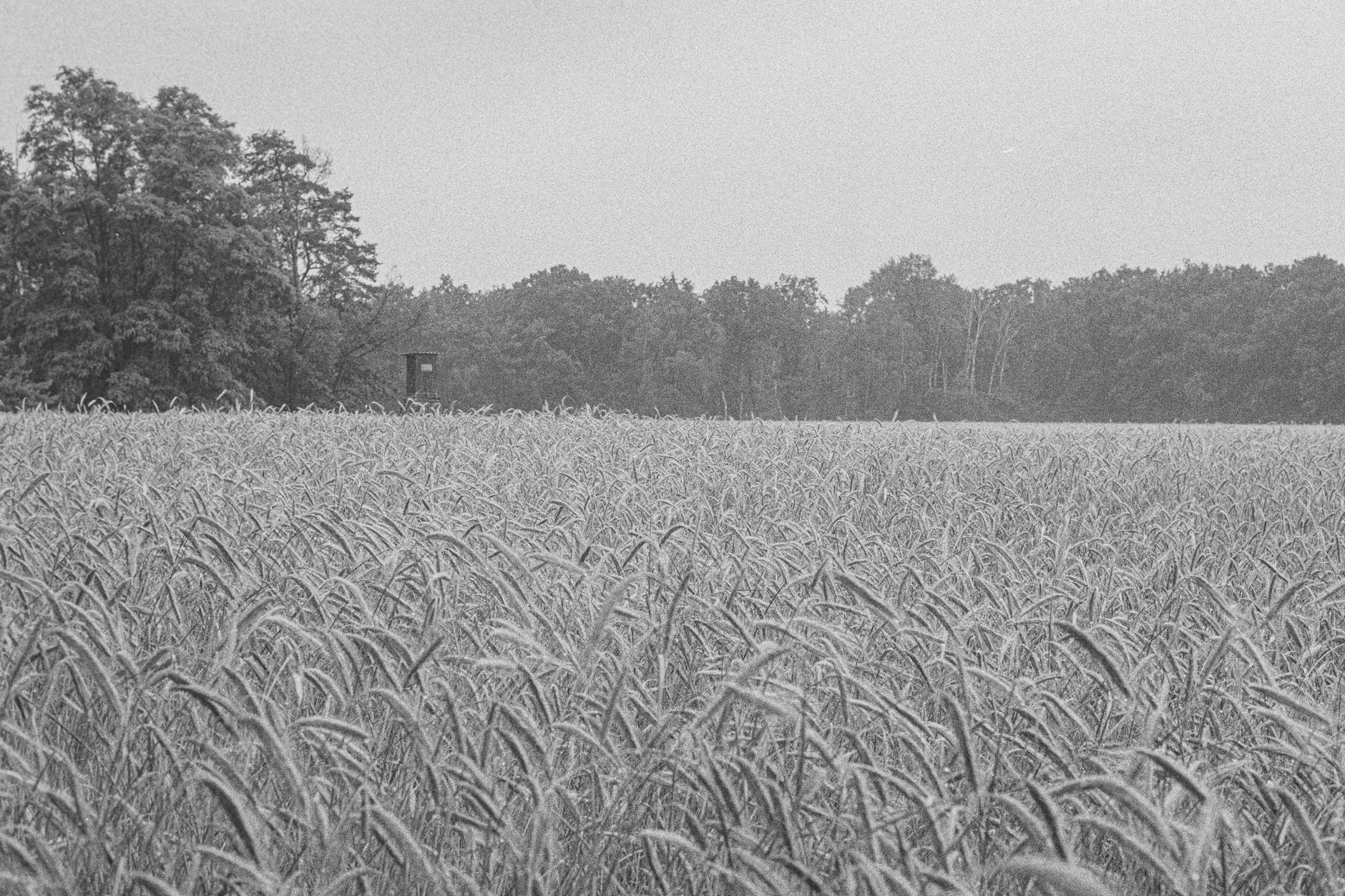 Ulica Złotowa z przełomu XX i XXI wieku, tradycyjne budynki mieszkalne i sklepy charakterystyczne dla polskich małych miast